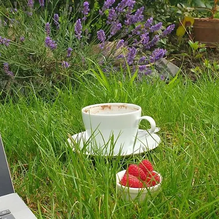 Zaciszny Gasthuis Słupsk