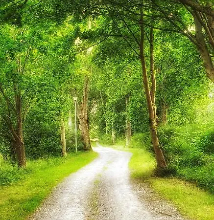 Penzion Zaciszny Słupsk