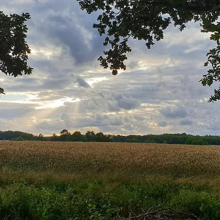 Zaciszny