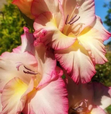 Zaciszny Gasthuis Słupsk