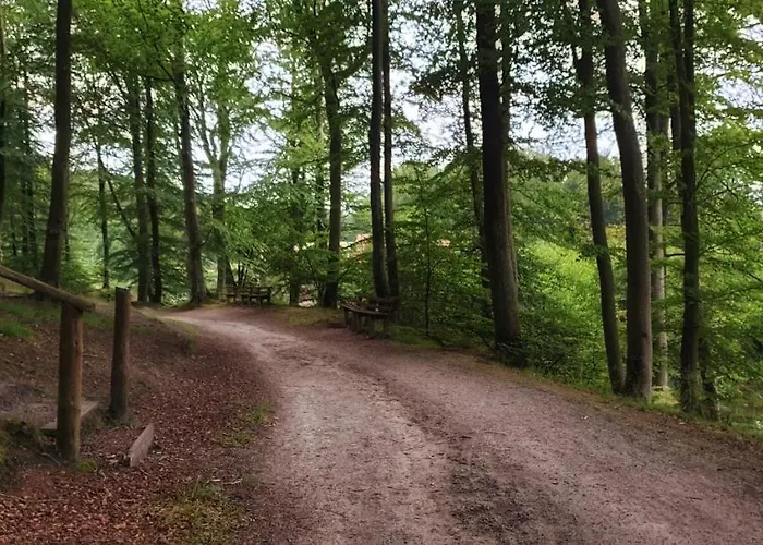 Zaciszny Affittacamere *