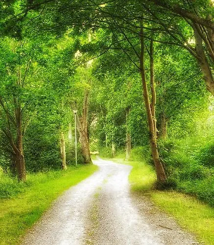 Affittacamere Zaciszny Słupsk