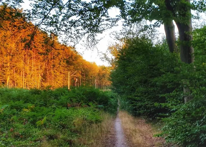 بيت ضيافة Zaciszny