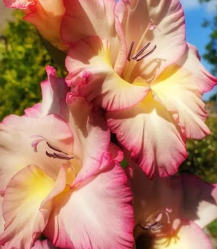 Zaciszny Affittacamere Słupsk