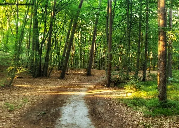 Zaciszny بيت ضيافة *