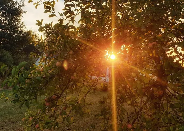 Zaciszny Affittacamere