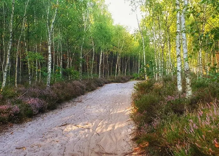 بيت ضيافة Zaciszny *