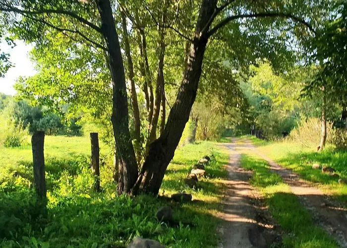 Affittacamere Zaciszny *