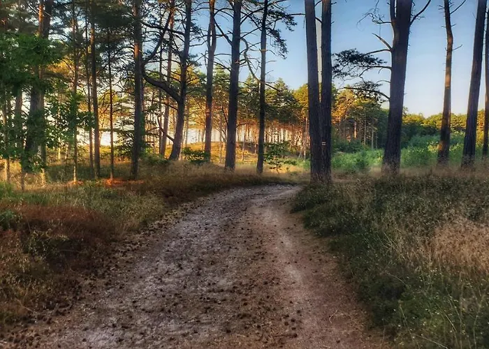 Affittacamere Zaciszny *