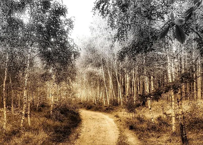 Affittacamere Zaciszny *