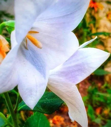 Zaciszny Affittacamere