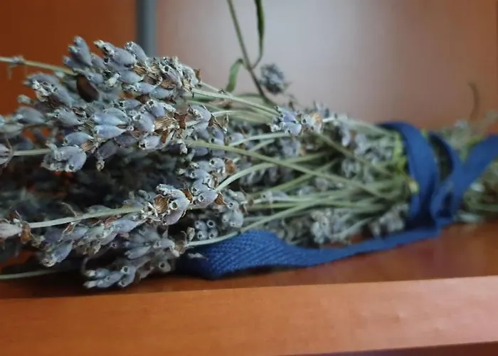 Zaciszny بيت ضيافة